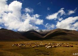 在新疆和甘肃交界处，有一个美丽的旅游城市，被称为西域