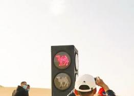 鸣沙山月牙泉景区 骆驼“看”信号灯走起来